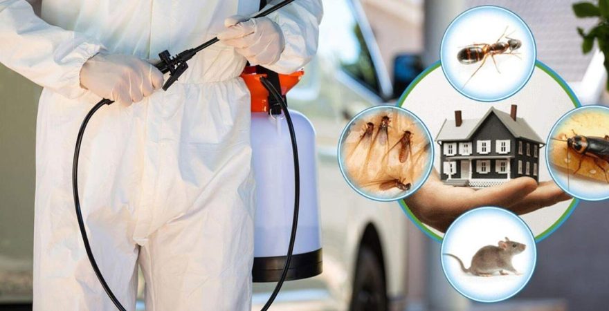 Gemlik Böcek İlaçlama