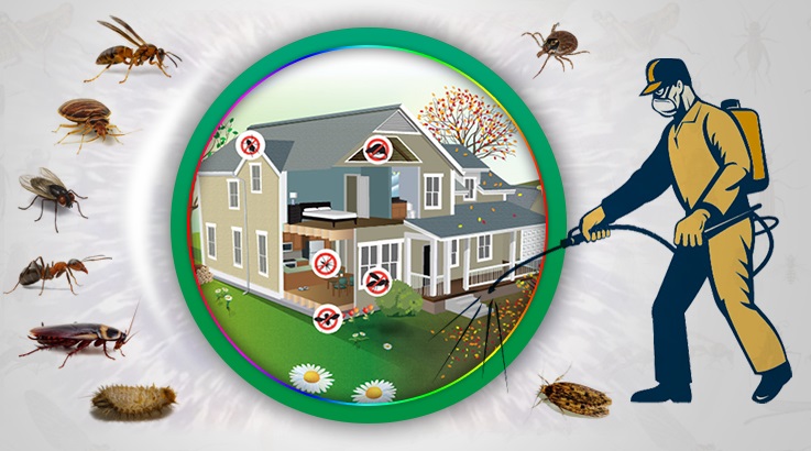 Gemlik Böcek İlaçlama