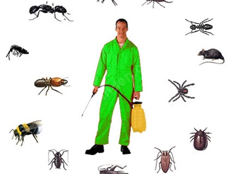 Gemlik Böcek İlaçlama